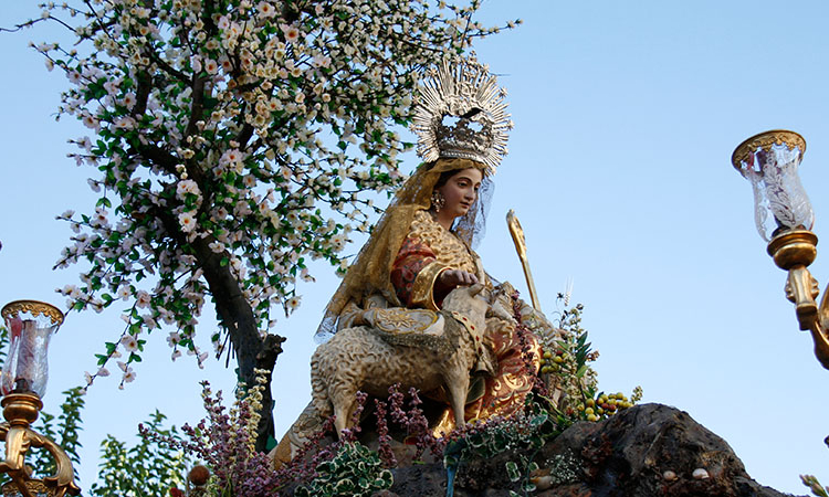 Cultos en honor de la Divina Pastora de las Almas en Capuchinos