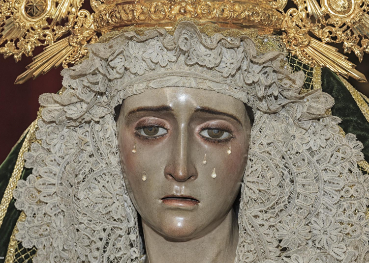 VIII Ciclo de Caridad Esperanza de la Yedra Coronada