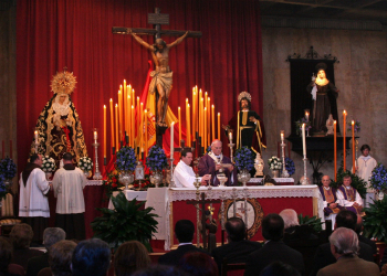 El Cardenal Amigo vuelve a la Defensión