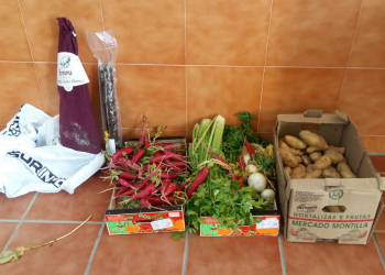 Nuevo reparto de alimentos de la Bolsa de Caridad de la Vera Cruz