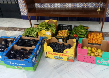 La Bolsa de Caridad de la Vera Cruz continua con su actividad en Verano