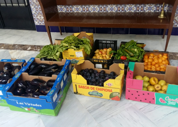 La Bolsa de Caridad de la Vera Cruz continua con su actividad en Verano