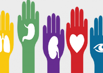 Ponencia sobre la donación de órganos