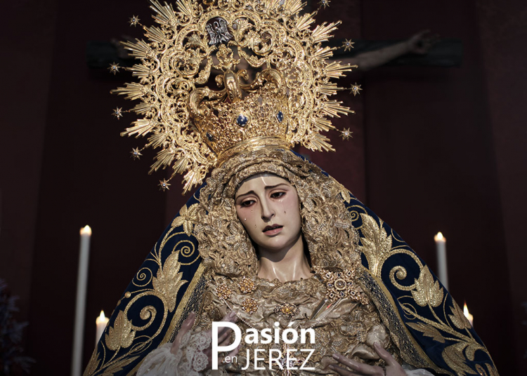 La Sed anuncia unos cultos extraordinarios en honor a la Virgen del Amparo