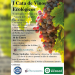 El Carmen organiza una cata solidaria de vinos ecológicos