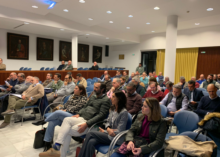 Aprobada la Procesión Magna Mariana para el próximo mes de octubre