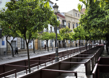 El Ayuntamiento ultima la contratación del montaje de los Palcos de Semana Santa