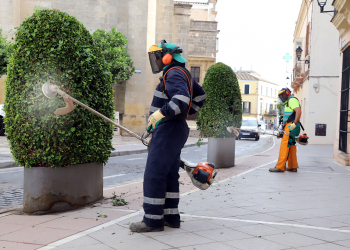 El Ayuntamiento reforzará la limpieza viaria y recogida de residuos antes, durante y después de la Magna Mariana