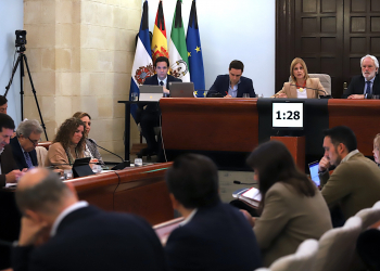 El Pleno aprueba conceder la Medalla de Oro a la Hermandad de la Coronación