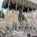 La Yedra cierra el acompañamiento musical de la Esperanza Coronada para 2027 con la incorporación de la Banda de Palomares